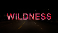 “Wildness (Dzikość)”, reż. Wu Tsang, USA, 2012. Dzięki uprzejmości twórcy